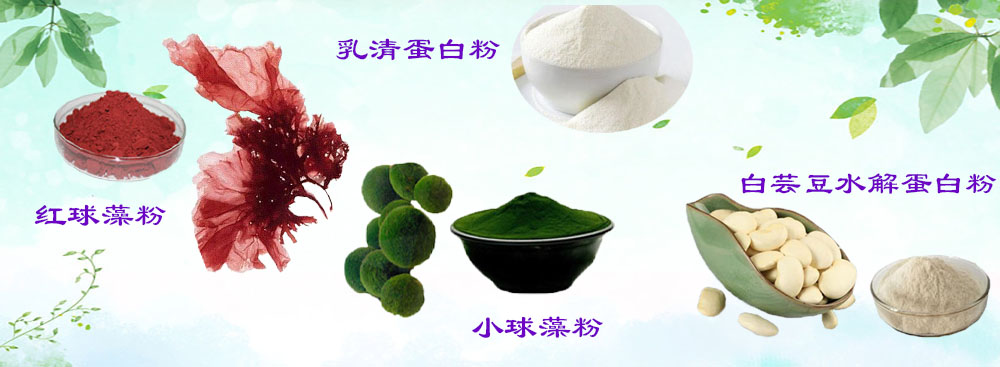 高品質(zhì) 低價(jià)格 產(chǎn)品種類豐富