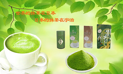 銀杏葉提取物