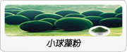 白蕓豆粉