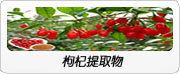 金銀花提取物
