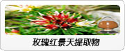 銀杏葉提取物