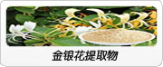 玫瑰紅景天提取物